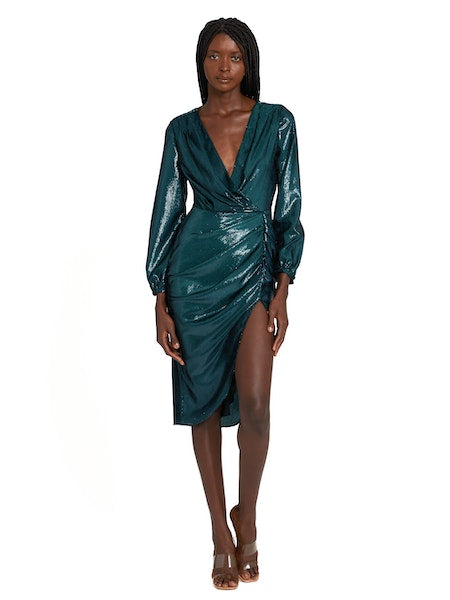 Long Sleeve Roma Dress