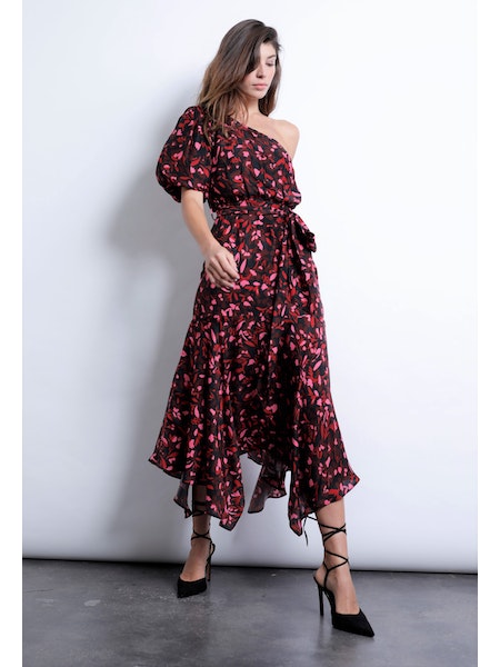 Sabrina Print Midi dress