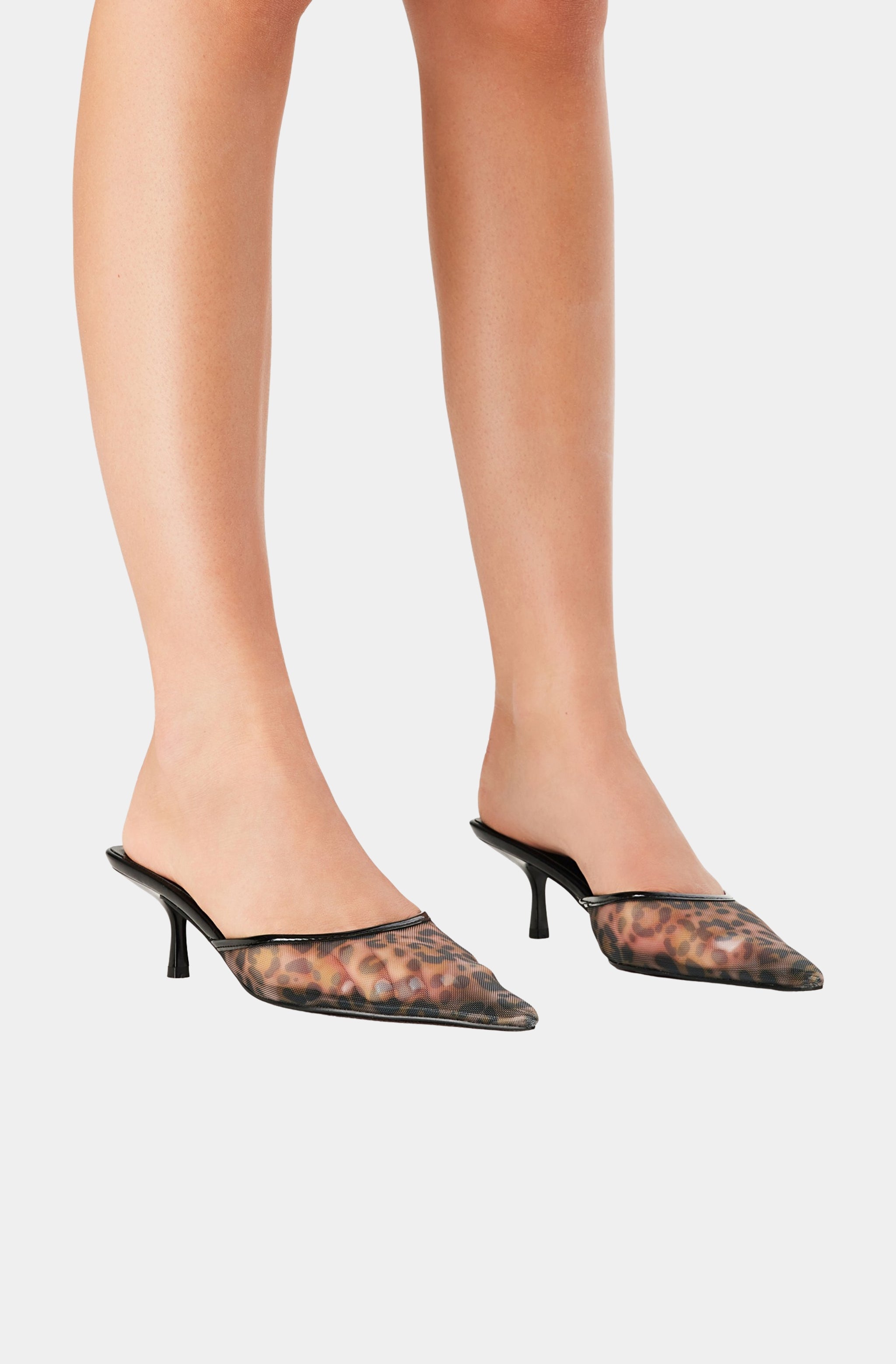 Winton Shoes